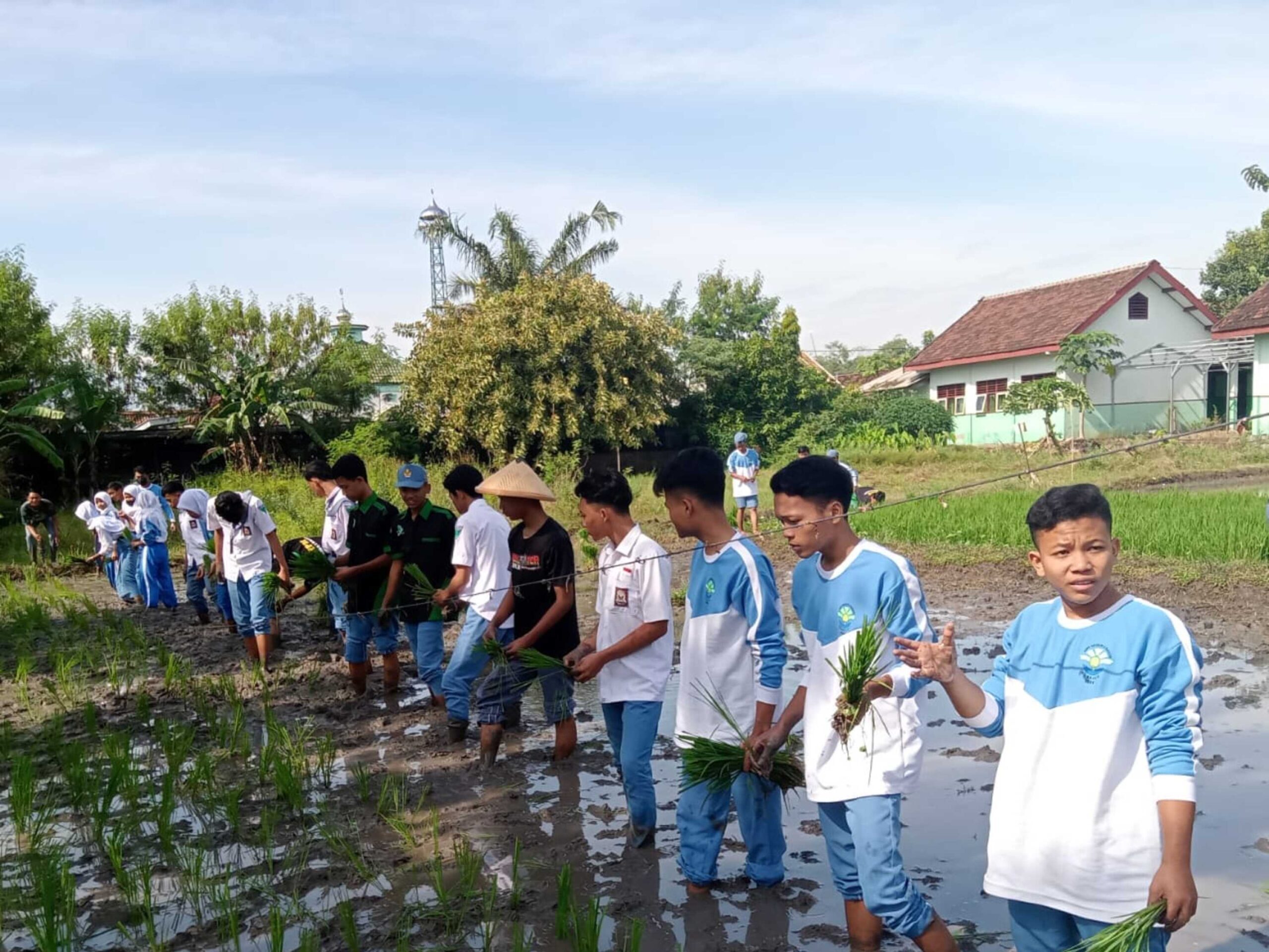 Potensi Pengembangan Wisata Pertanian dan Edukasi Desa